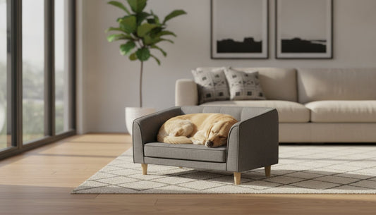 Elegant Lounging: Why You’ll Love a Dog Sofa Bed for Your Furry Friend
