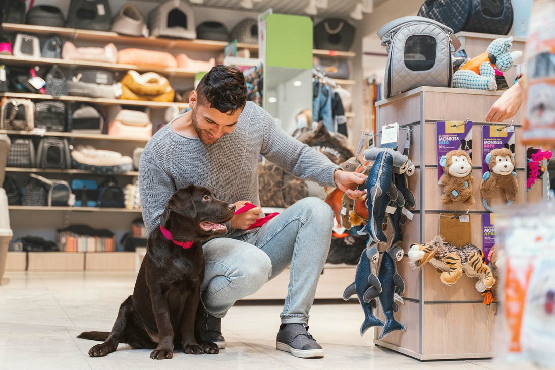 The Ultimate Pet Care Guide: Must-Have Products Every New Pet Parent Needs in 2025