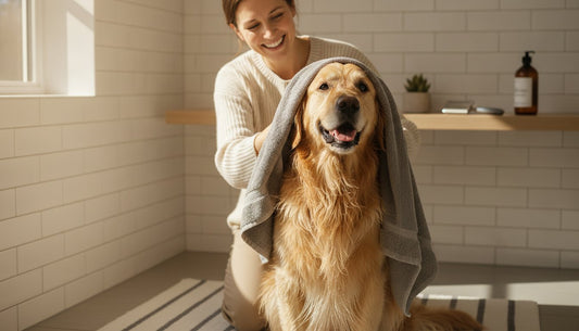 The Ultimate Guide to Loving At-Home Pet Grooming