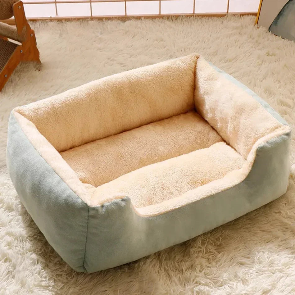 Pet Beds & Comfort