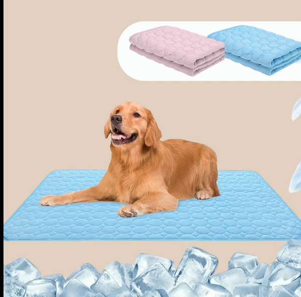 Golden retriever resting on a cooling mat with ice cubes