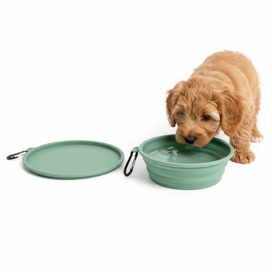 Portable Pet Travel Bowl